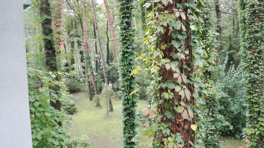 勒马丁别墅旅馆 孔斯坦杰那 外观 照片